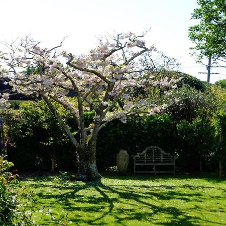 Garden Retreat Appartement Otaki Buitenkant foto